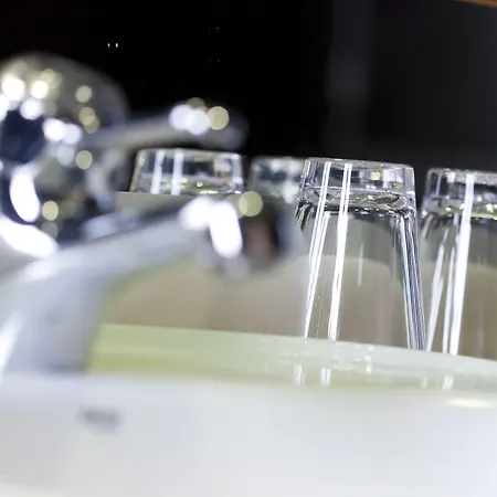 Rio Bidasoa Minneapolis