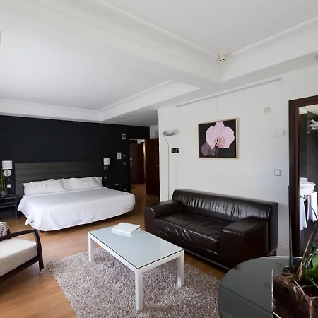 Hotel Rio Bidasoa 4*