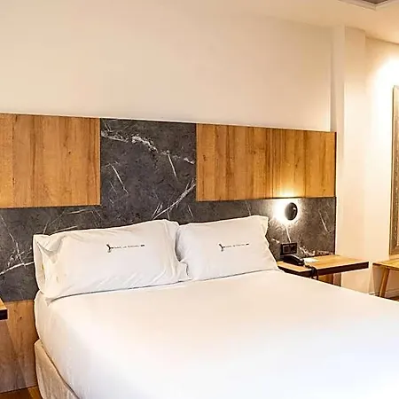 Hotel Rio Bidasoa 4*