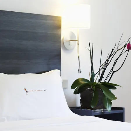 Hotel Rio Bidasoa 4*